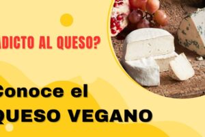 Descubriendo la verdad del queso vegano: ¿engorda o no?