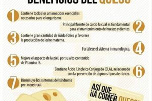 Descubriendo los Macronutrientes del Queso: ¿Qué beneficios nutricionales ofrece?