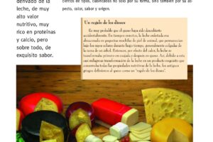 Efectos de la pasteurización en el queso gouda: una mirada al proceso y sus beneficios