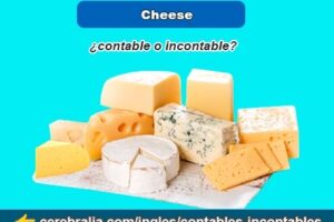 El queso: ¿es contable o incontable? Un análisis lingüístico y gramatical