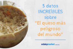 El queso más temerario: Descubre la historia detrás del más peligroso y delicioso queso del mundo