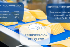 El queso y la importancia de su refrigeración: claves para mantener su frescura y calidad