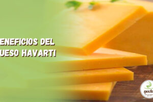 Toda la verdad sobre el queso Havarti y su impacto en el peso corporal