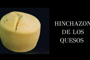 Trazando los efectos del queso en la hinchazón abdominal: ¿mito o realidad?